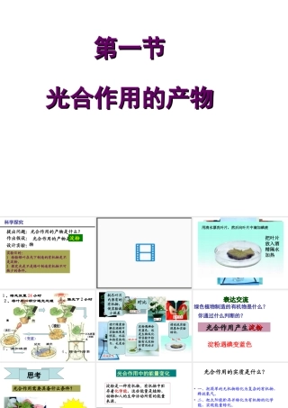 八年级生物上册 第3章 第1节 光合作用的产物课件1 （新版）冀教版-（新版）冀教级上册生物课件