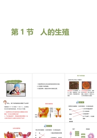 八年级生物上册 7.21.1 人的生殖课件 （新版）苏科版-（新版）苏科版初中八年级上册生物课件