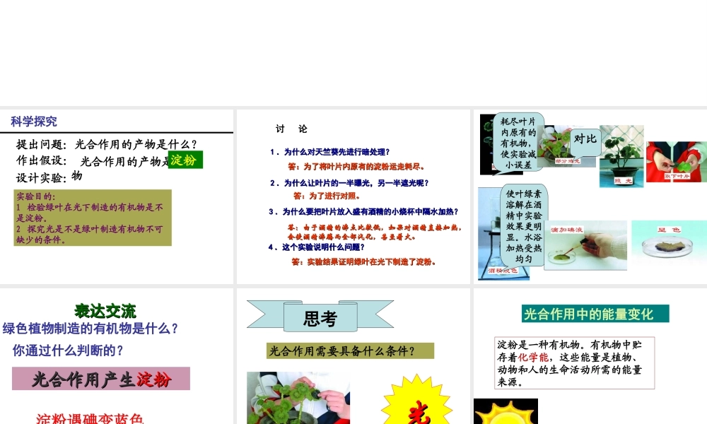 八年级生物上册 第3章 第1节 光合作用的产物课件2 （新版）冀教版-（新版）冀教级上册生物课件