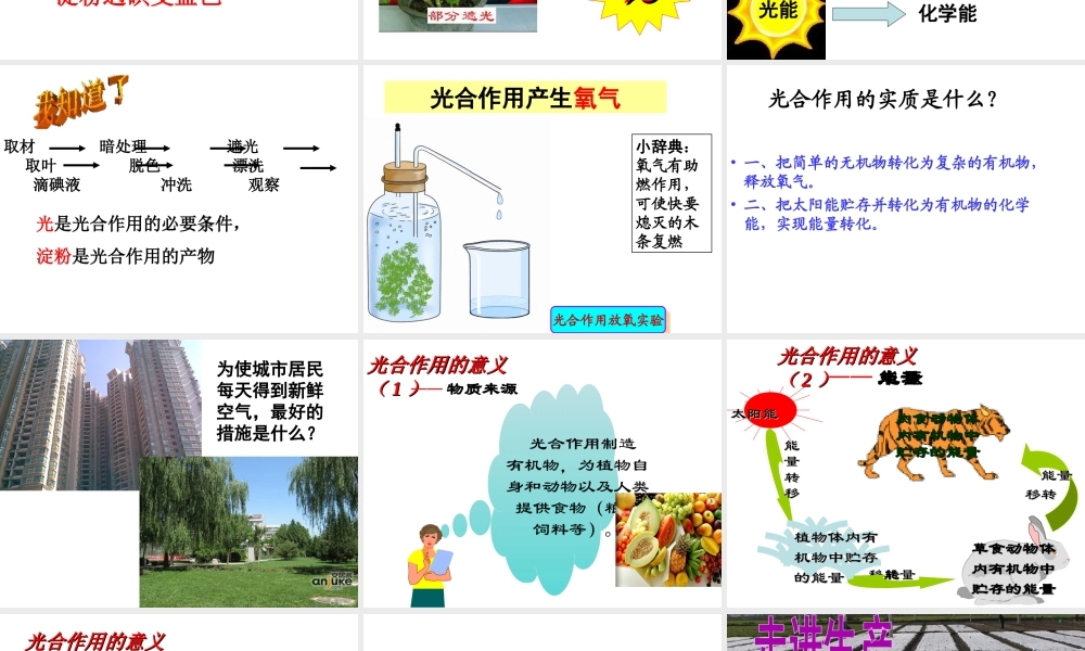 八年级生物上册 第3章 第1节 光合作用的产物课件2 （新版）冀教版-（新版）冀教级上册生物课件