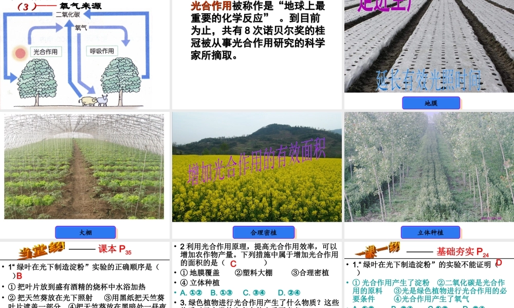 八年级生物上册 第3章 第1节 光合作用的产物课件2 （新版）冀教版-（新版）冀教级上册生物课件