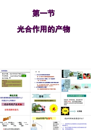 八年级生物上册 第3章 第1节 光合作用的产物课件2 （新版）冀教版-（新版）冀教级上册生物课件