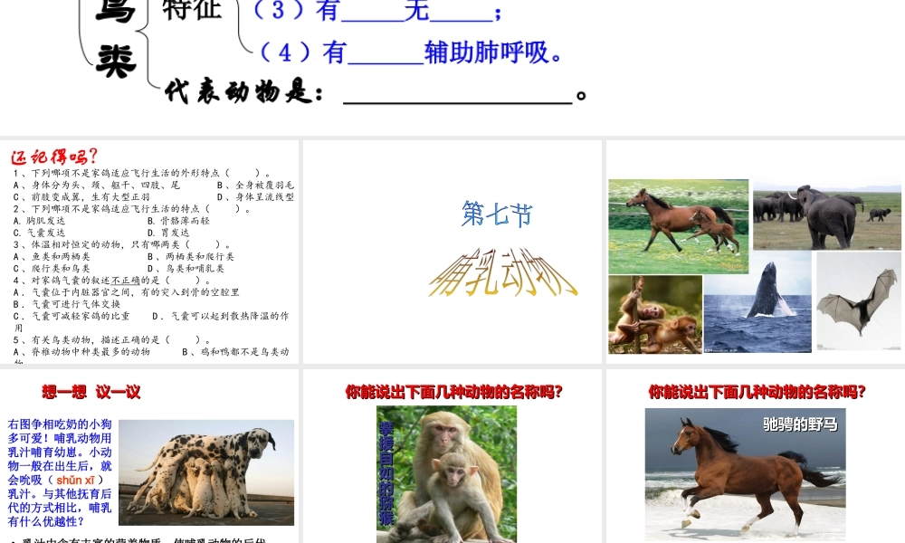 八年级生物上册 5.1.7 哺乳动物课件（2）（新版）新人教版-（新版）新人教版初中八年级上册生物课件