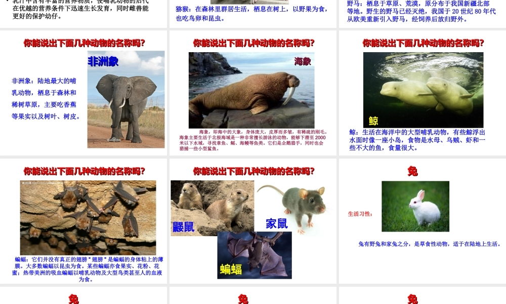 八年级生物上册 5.1.7 哺乳动物课件（2）（新版）新人教版-（新版）新人教版初中八年级上册生物课件