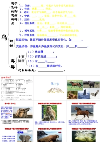 八年级生物上册 5.1.7 哺乳动物课件（2）（新版）新人教版-（新版）新人教版初中八年级上册生物课件