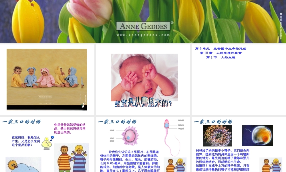 八年级生物上册 7.21.1《人的生殖》课件 （新版）苏科版-（新版）苏科版初中八年级上册生物课件