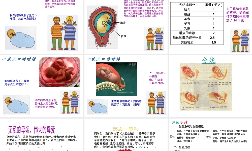 八年级生物上册 7.21.1《人的生殖》课件 （新版）苏科版-（新版）苏科版初中八年级上册生物课件