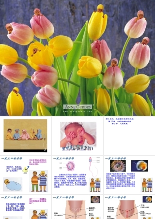 八年级生物上册 7.21.1《人的生殖》课件 （新版）苏科版-（新版）苏科版初中八年级上册生物课件