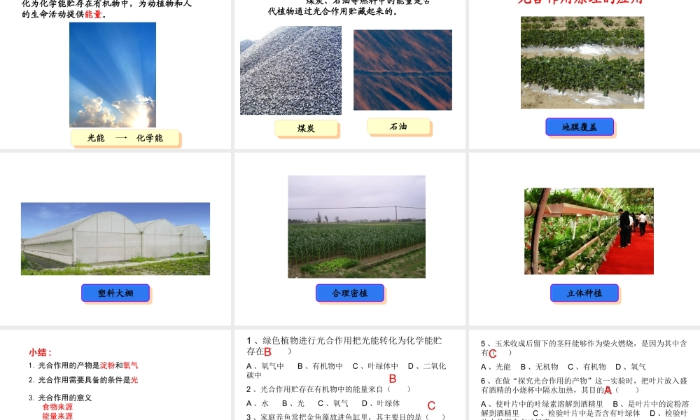 八年级生物上册 第3章 第1节 光合作用的产物课件3 （新版）冀教版-（新版）冀教版初中八年级上册生物课件