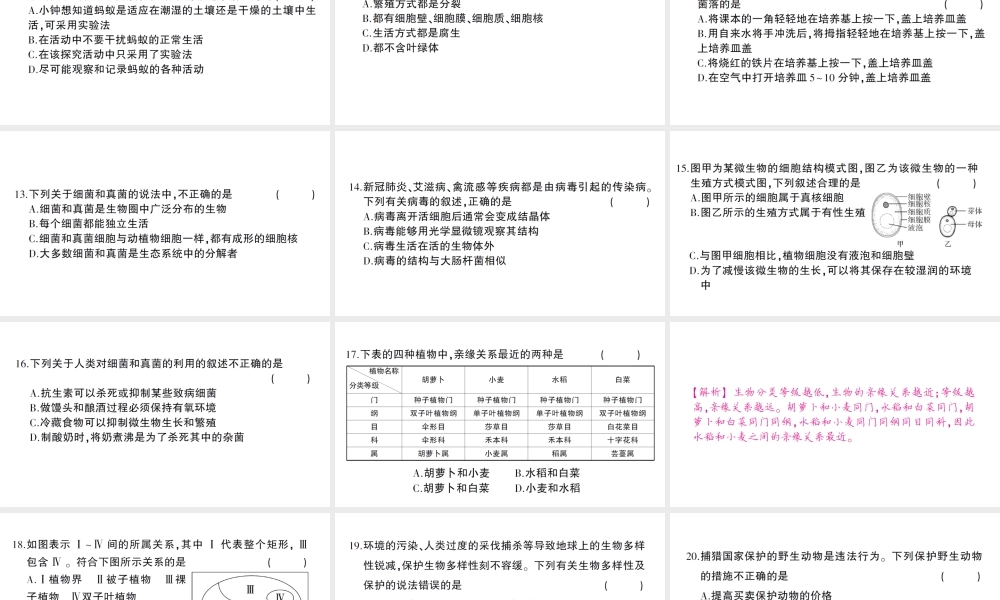 八年级生物上册 期末综合检测课件 （新版）新人教版-（新版）新人教版初中八年级上册生物课件