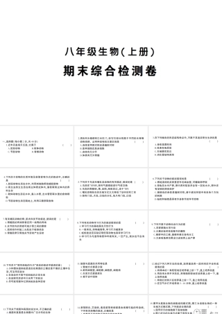 八年级生物上册 期末综合检测课件 （新版）新人教版-（新版）新人教版初中八年级上册生物课件