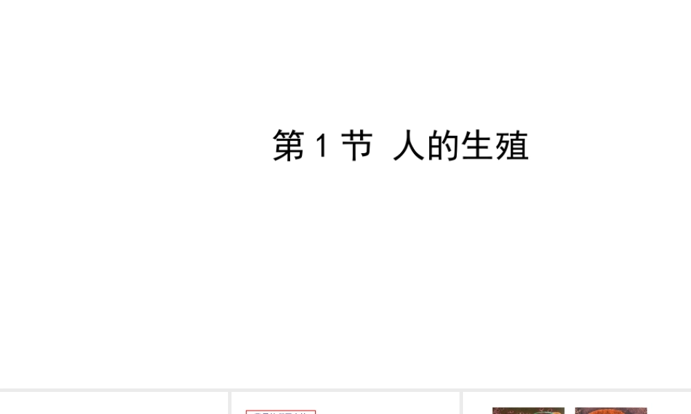 八年级生物上册 7.21.1人的生殖课件 （新版）苏科版-（新版）苏科版初中八年级上册生物课件