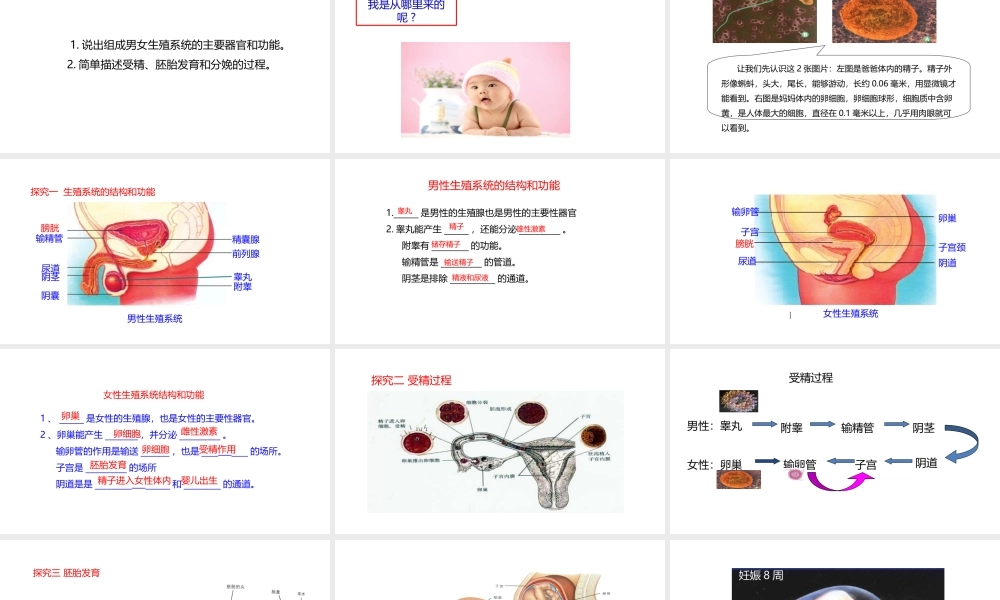 八年级生物上册 7.21.1人的生殖课件 （新版）苏科版-（新版）苏科版初中八年级上册生物课件