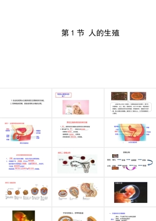 八年级生物上册 7.21.1人的生殖课件 （新版）苏科版-（新版）苏科版初中八年级上册生物课件