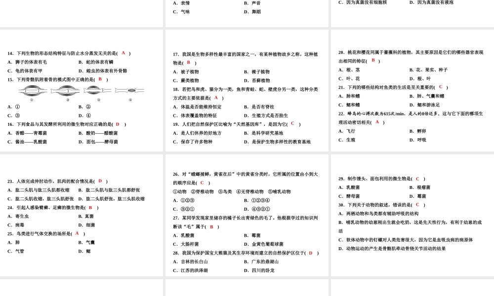八年级生物上册 期末综合检测课件1 （新版）新人教版-（新版）新人教版初中八年级上册生物课件