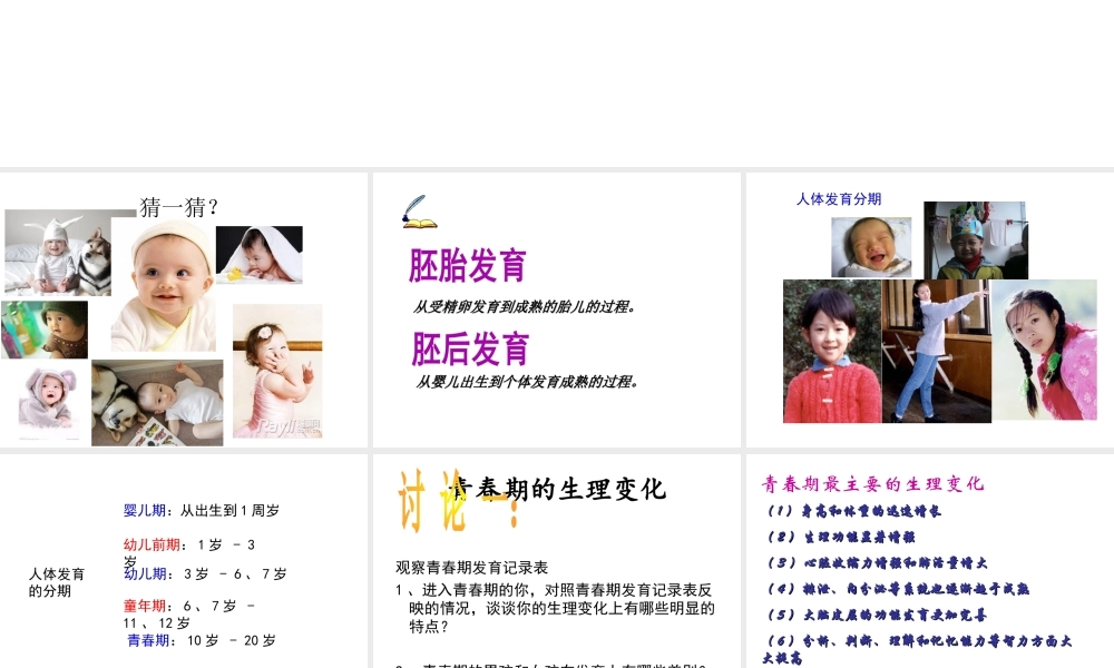 八年级生物上册 7.21.2《人的个体发育》课件 （新版）苏科版-（新版）苏科版初中八年级上册生物课件