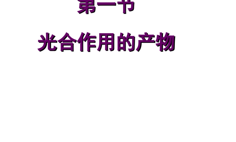 八年级生物上册 第3章 第1节光合作用的产物课件 （新版）冀教版-（新版）冀教版初中八年级上册生物课件
