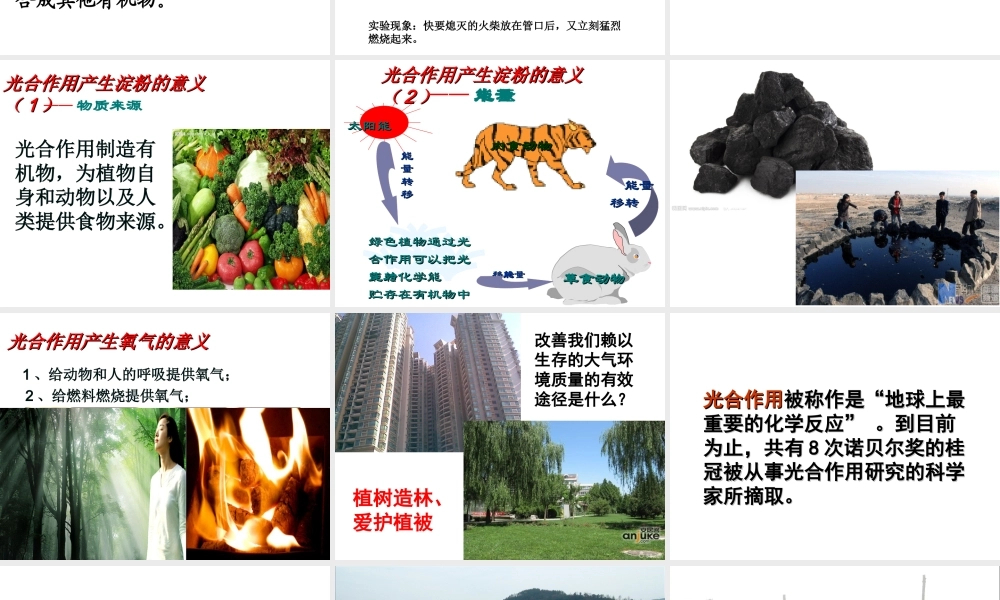 八年级生物上册 第3章 第1节光合作用的产物课件 （新版）冀教版-（新版）冀教版初中八年级上册生物课件