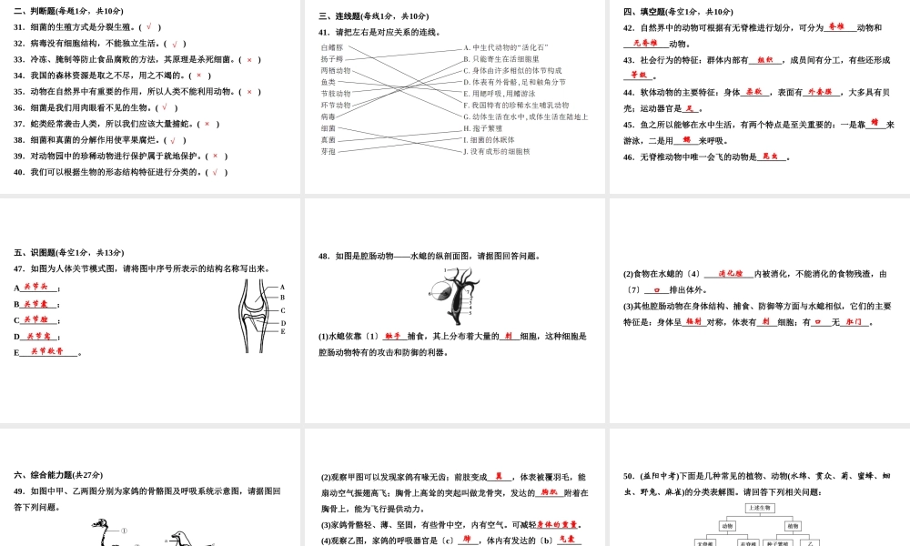 八年级生物上册 期末综合检测课件2 （新版）新人教版-（新版）新人教版初中八年级上册生物课件