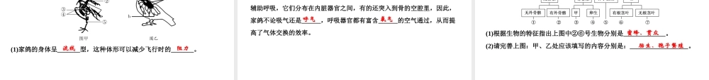 八年级生物上册 期末综合检测课件2 （新版）新人教版-（新版）新人教版初中八年级上册生物课件