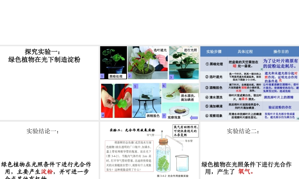 八年级生物上册 第3章 第1节光合作用的产物课件 （新版）冀教版-（新版）冀教级上册生物课件