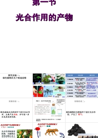 八年级生物上册 第3章 第1节光合作用的产物课件 （新版）冀教版-（新版）冀教级上册生物课件