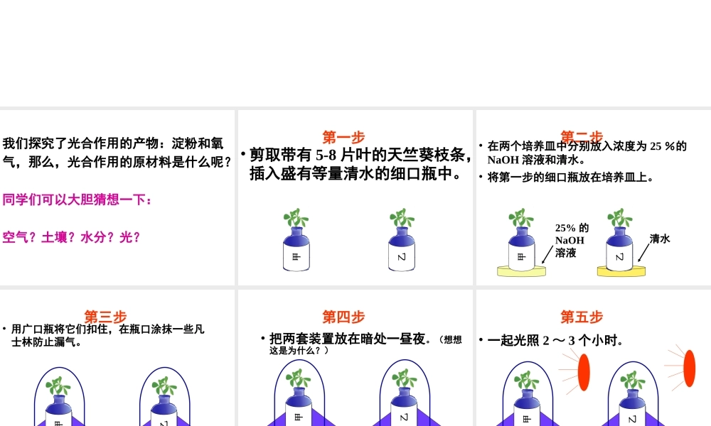 八年级生物上册 第3章 第2节 光合作用的原料课件 （新版）冀教版-（新版）冀教版初中八年级上册生物课件