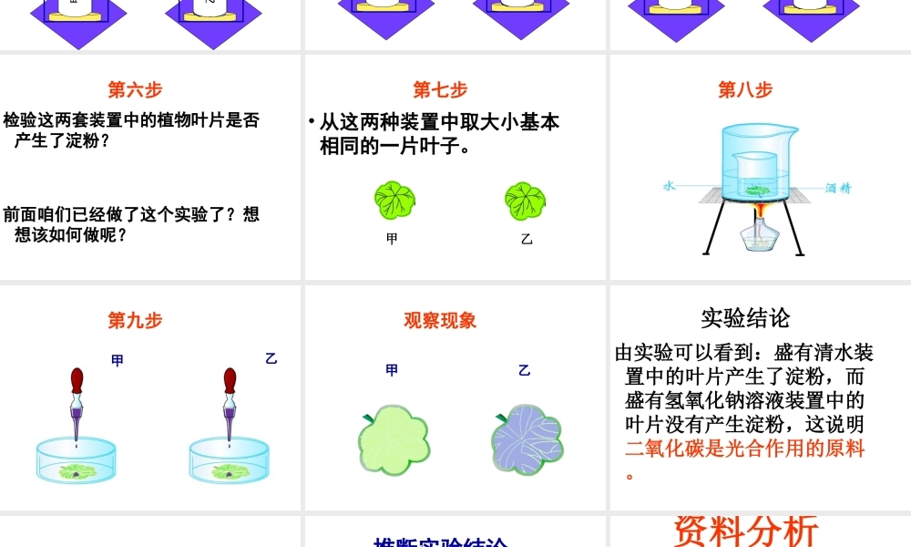 八年级生物上册 第3章 第2节 光合作用的原料课件 （新版）冀教版-（新版）冀教版初中八年级上册生物课件