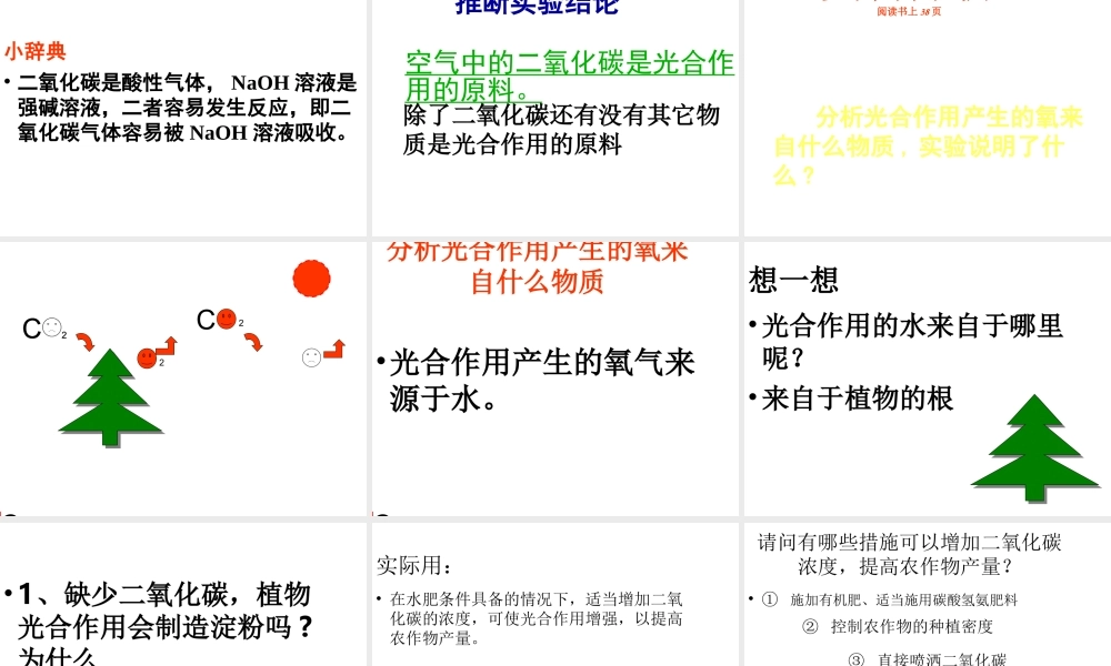 八年级生物上册 第3章 第2节 光合作用的原料课件 （新版）冀教版-（新版）冀教版初中八年级上册生物课件