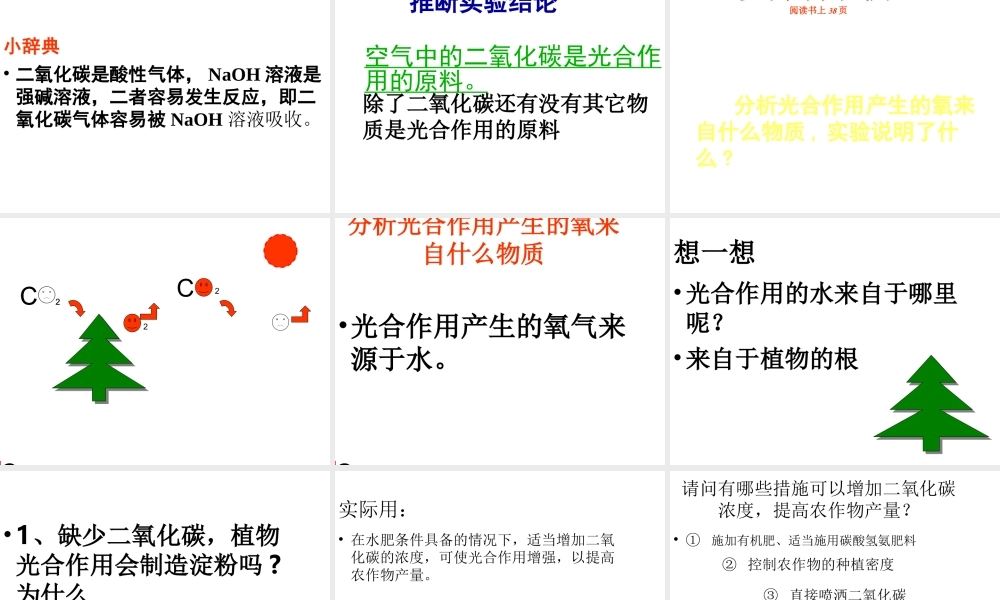 八年级生物上册 第3章 第2节 光合作用的原料课件 （新版）冀教版-（新版）冀教级上册生物课件