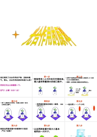 八年级生物上册 第3章 第2节 光合作用的原料课件 （新版）冀教版-（新版）冀教级上册生物课件