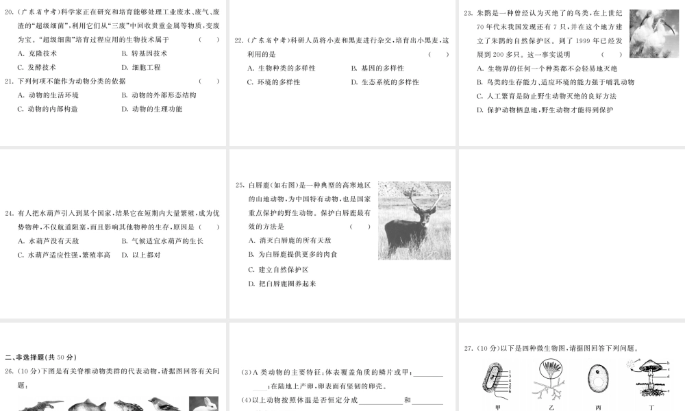 八年级生物上册 期末综合检测习题课件 （新版）新人教版-（新版）新人教版初中八年级上册生物课件