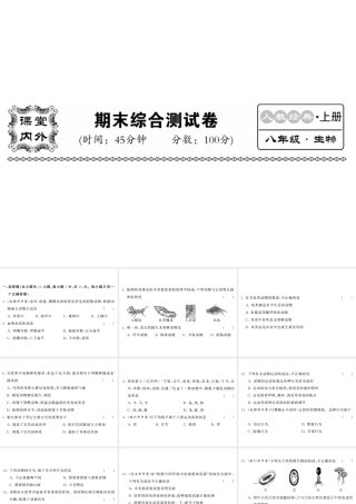 八年级生物上册 期末综合检测习题课件 （新版）新人教版-（新版）新人教版初中八年级上册生物课件