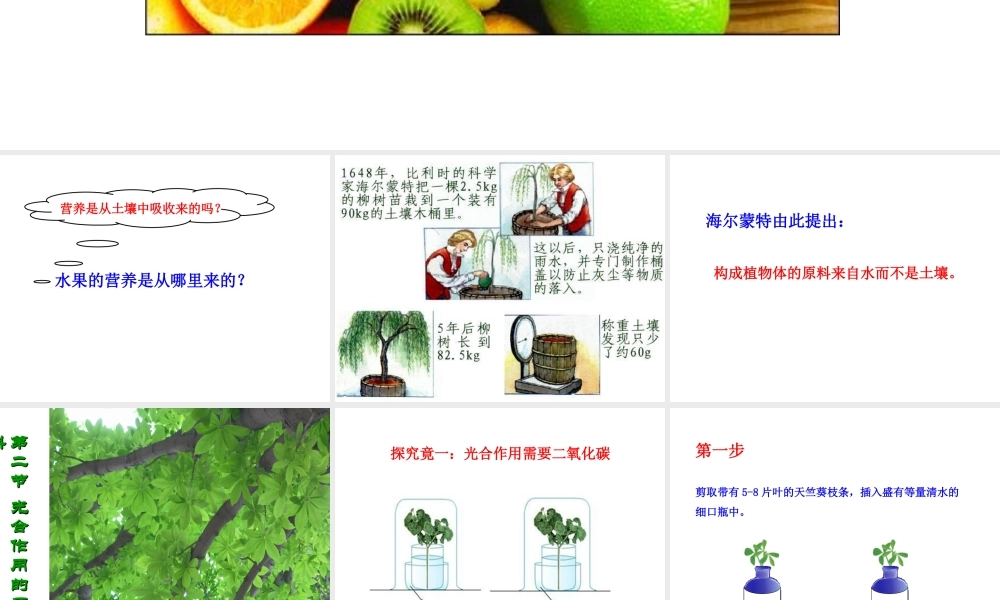 八年级生物上册 第3章 第2节光合作用的原料课件 （新版）冀教版-（新版）冀教版初中八年级上册生物课件