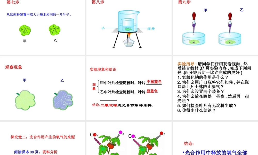八年级生物上册 第3章 第2节光合作用的原料课件 （新版）冀教版-（新版）冀教版初中八年级上册生物课件