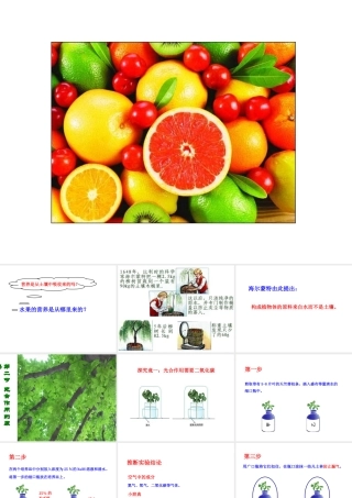 八年级生物上册 第3章 第2节光合作用的原料课件 （新版）冀教版-（新版）冀教版初中八年级上册生物课件