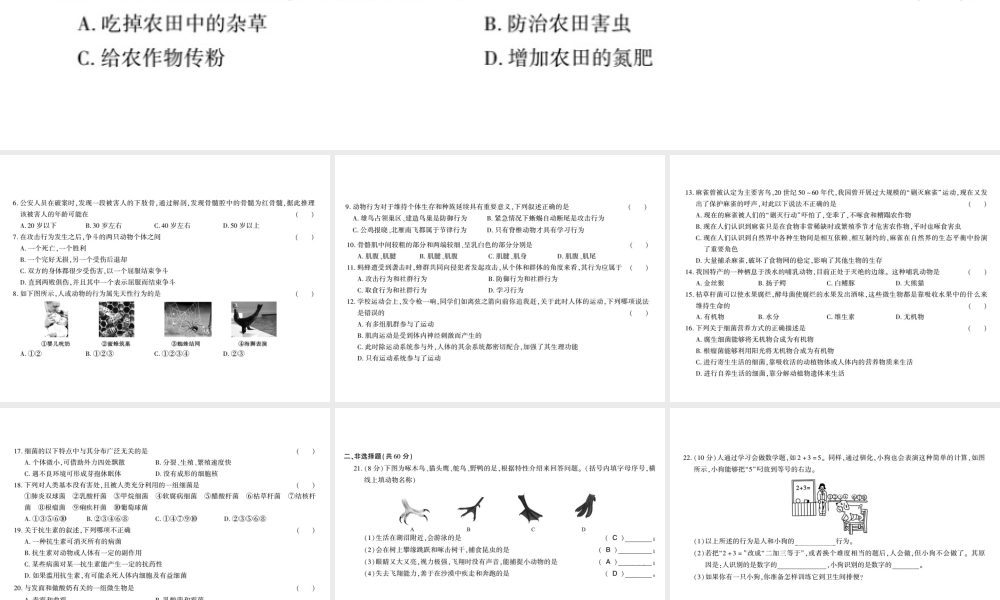 八年级生物上册 期中测评卷课件 （新版）北师大版-（新版）北师大版初中八年级上册生物课件