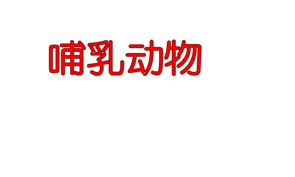 八年级生物上册 5.1.7 哺乳动物课件2 （新版）新人教版-（新版）新人教版初中八年级上册生物课件