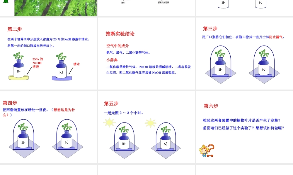 八年级生物上册 第3章 第2节光合作用的原料课件 （新版）冀教版-（新版）冀教级上册生物课件