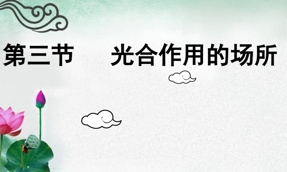 八年级生物上册 第3章 第3节 光合作用的场所课件 （新版）冀教版-（新版）冀教版初中八年级上册生物课件