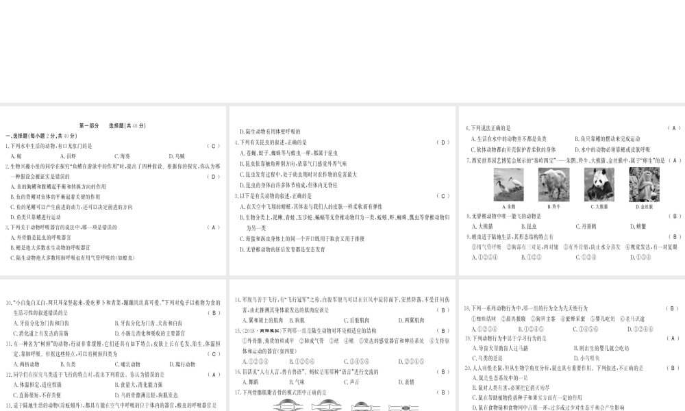八年级生物上册 期中测评卷习题课件 （新版）新人教版-（新版）新人教版初中八年级上册生物课件
