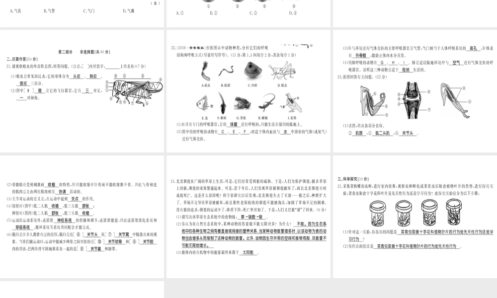 八年级生物上册 期中测评卷习题课件 （新版）新人教版-（新版）新人教版初中八年级上册生物课件