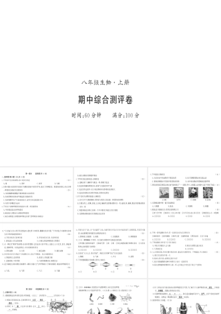 八年级生物上册 期中测评卷习题课件 （新版）新人教版-（新版）新人教版初中八年级上册生物课件