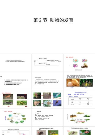 八年级生物上册 7.动物的发育课件 （新版）苏科版-（新版）苏科级上册生物课件