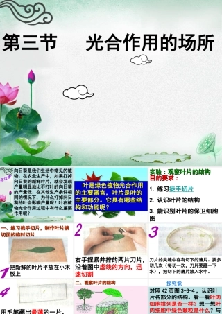 八年级生物上册 第3章 第3节 光合作用的场所课件 （新版）冀教版-（新版）冀教级上册生物课件