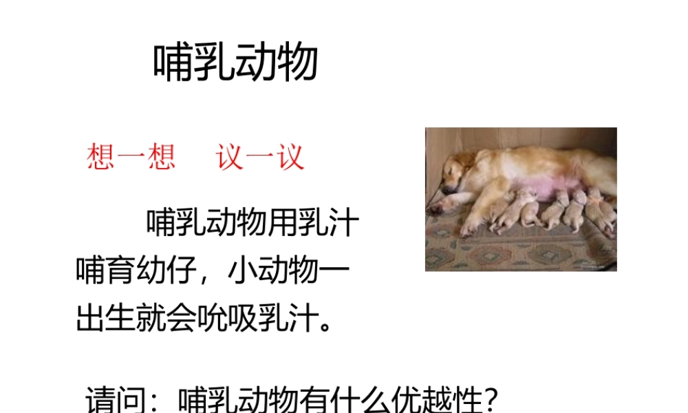 八年级生物上册 5.1.7 哺乳动物课件3 （新版）新人教版-（新版）新人教版初中八年级上册生物课件