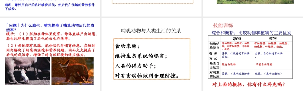 八年级生物上册 5.1.7 哺乳动物课件3 （新版）新人教版-（新版）新人教版初中八年级上册生物课件