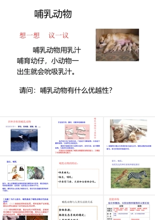 八年级生物上册 5.1.7 哺乳动物课件3 （新版）新人教版-（新版）新人教版初中八年级上册生物课件