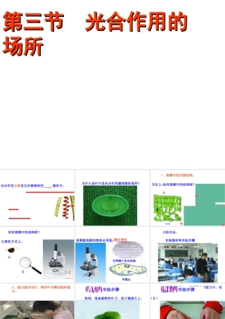 八年级生物上册 第3章 第3节光合作用的场所课件 （新版）冀教版-（新版）冀教版初中八年级上册生物课件