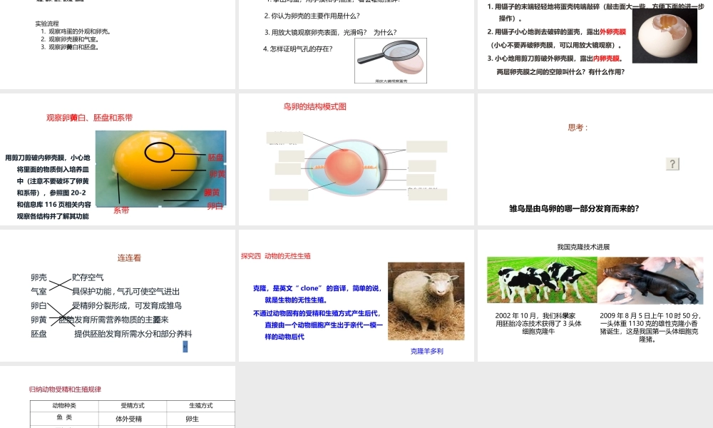 八年级生物上册 7.动物的生殖课件 （新版）苏科版-（新版）苏科级上册生物课件